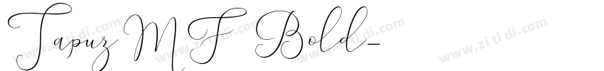 TapuzMF Bold字体转换